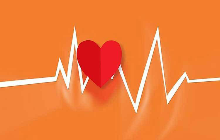 বেশ কয়েকটি সমীক্ষায় দাবি করা হয়েছে, অতিরিক্ত ঠান্ডা পানি পানে তা হার্ট রেট কমিয়েও দিতে পারে। বরফ-ঠান্ডা পানি পানে তা দাঁতের ভেগাস নার্ভকে স্টিমুলেট করে। এই ভেগাস নার্ভ আমাদের স্নায়ুতন্ত্রের অত্যন্ত গুরুত্বপূর্ণ অঙ্গ। যা হার্ট রেট কমিয়ে দিতে পারে।