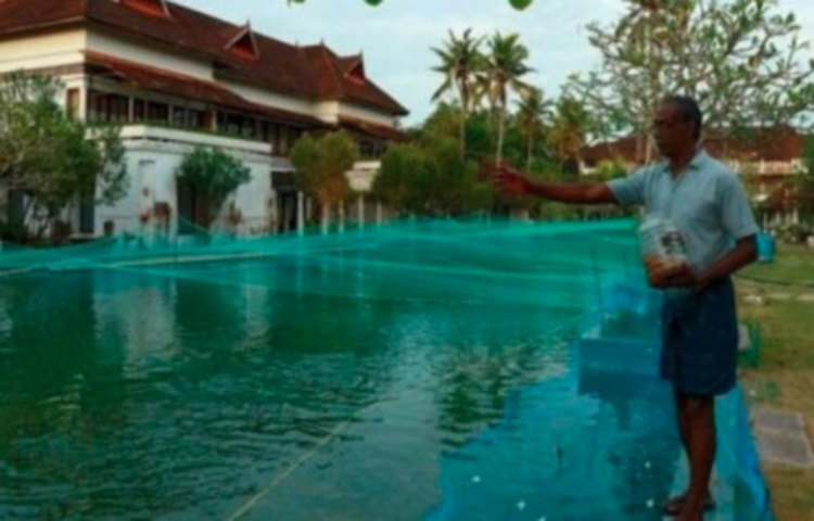 বিলাসবহুল হোটেল। এক সময় সেই হোটেলের সুইমিং পুলে বিদেশি পর্যটকদের ভিড় থাকত। তবে সেসব লকডাউন পর্বের আগের কথা। লকডাউনের পর থেকেই হোটেল ফাঁকা। শুনশান লন, পুল। কবে সব স্বাভাবিক হবে কেউ বলতে পারছে না। হোটেল ব্যবসায়ীদের মাথায় হাত। ব্যবসা বন্ধ হওয়ার মুখে অনেকেরই।