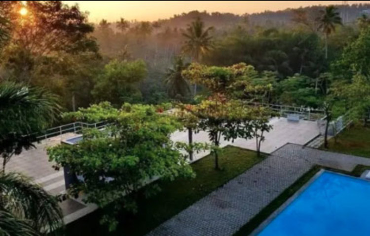 ভারতের কেরালার তিরুবনন্তপূরমের এক বিলাসবহুল হোটেলের সুইমিং পুলে এখন মাছ চাষ হচ্ছে। লকডাউনের জেরে বহু মানুষ কাজ হারিয়েছেন। অনেকেই পেশা বদলাতে বাধ্য হয়েছেন। তবে এই হোটেল হয়তো পেশা বদলের নজির গড়েছে।