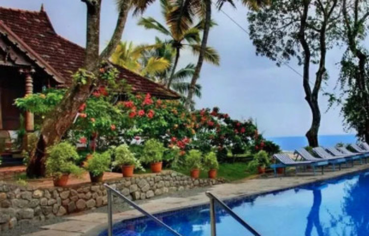 হোটেল মালিক সুরেন্দ্রন জানিয়েছেন, এই মাছ বড় হতে মোটামুটি আট মাস মতো সময় লাগে। তবে তিনি ইতিমধ্যে লাভের মুখ দেখতে শুরু করেছেন। সঠিক সময় পেশা বদল করা ছাড়া তার কাছে আর কোনো উপায় ছিল না। এমনই জানিয়েছেন সুরেন্দ্রন।