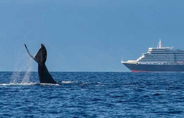 কিন্তু ১৯৭০ সাল নাগাদ জিপিএস প্রযুক্তি চলে আসে। যার সাহায্যে জাহাজের নাবিক খুব সহজেই সমুদ্রের গভীরতার আন্দাজ পেতে শুরু করেন। সে সময় থেকেই লাইট হাউসটা পরিত্যক্ত হয়ে যায়।