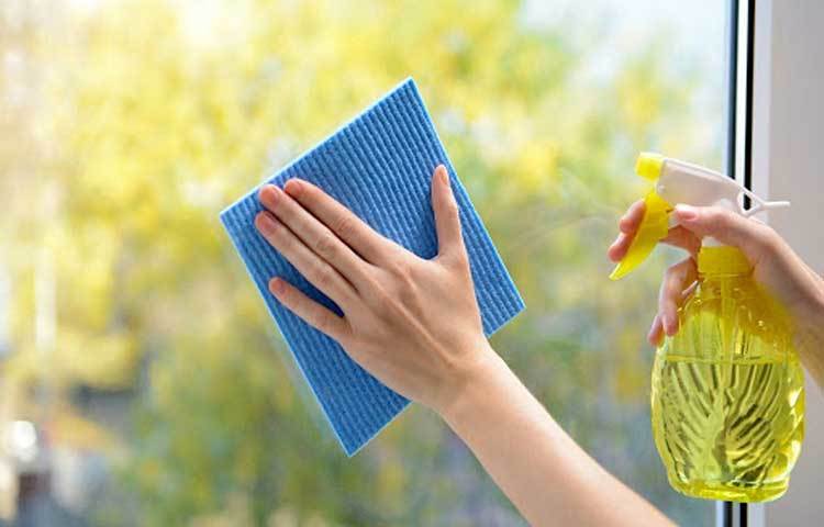 ধুলো ঝাড়ার সঠিক সামগ্রি: শুকনো কাপড় দিয়ে ধুলো ঝাড়লে তখন তা বাতাসে ভেসে বেড়ায়। ফলে আবার সারা বাড়ি ধুলোময় হয়ে যায়। সবসময় চেষ্টা করুন মাইক্রোফাইবার র্যাগ দিয়ে ধুলো পরিস্কার করতে। এগুলো একটু মোটা ফ্যাব্রিকের হয় ফলে ধুলো এর মধ্যে আটকে যায়। পরে এই কাপড়গুলো ধুয়ে শুকিয়ে আবার ব্যবহার করতে পারেন।