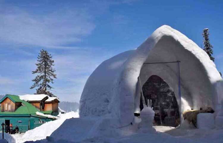 রেস্তোরাঁয় প্রবেশের পর মেনু কার্ড থেকে খাবার বাছাই এবং তারপর কর্মচারীরা সেই খাবার আপনার টেবিলে পরিবেশন পর্ব, সবই ব্যবস্থা রয়েছে এই ইগলুতে। ছবি: সংগৃহীত