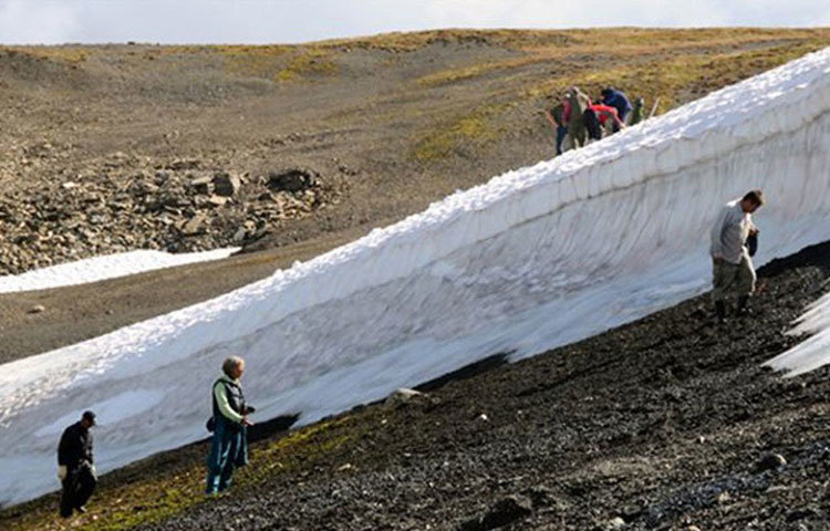 সেই জায়গাতেই বহু প্রাচীন ঘোড়ার মল দেখতে পান তারা। গবেষণায় জানতে পারেন, ঘোড়ার ওই মল অন্তত এক হাজার বছরের পুরনো। এই এলাকায় এত পুরনো ঘোড়ার মল দেখে কিছুটা আশ্চর্য হয়েছিলেন তারা।