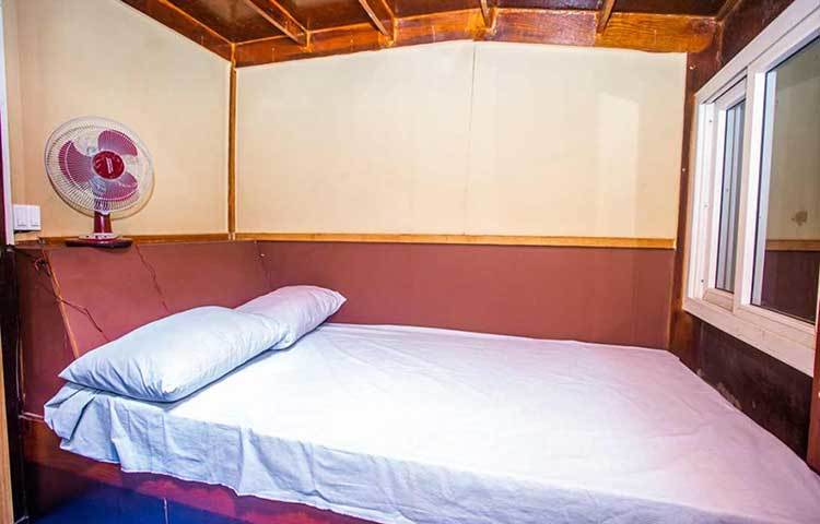 এটি সব ধরনের তেল ও শব্দ দুষণ মুক্ত নৌযান।
