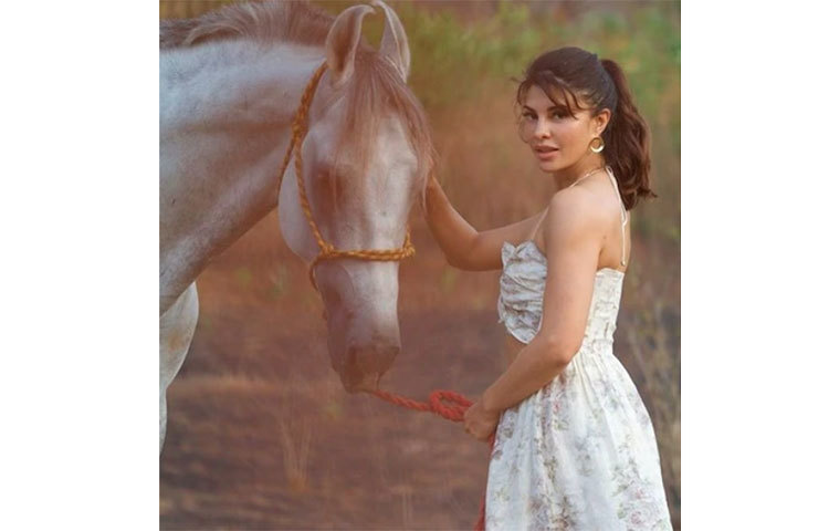 জ্যাকুলিন মাস কম গ্র্যাজুয়েট সম্পন্ন করেছেন। পেশাগত জীবনে সাংবাদিকতা করার অভিজ্ঞতাও রয়েছে জ্যাকুলিন ফার্নান্ডেজের। শ্রীলঙ্কায় ফিল্ড রিপোর্টিং করেছেন এই বলিউড তারকা।