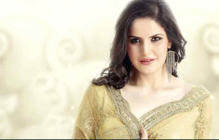 জেরিনের মতে, অভিনেতা হিসেবে বলিউডে যথেষ্ট সুযোগ পাইনি। তা ছাড়া, ইন্ডাস্ট্রির লোকজন আমাকে সুযোগ দিতেও খুব আগ্রহী নন। তারা আমাকে একটি সুন্দর মুখ হিসাবেই চেনে। তার বাইরে তাকাতে রাজি নন। ছবি: সংগৃহীত