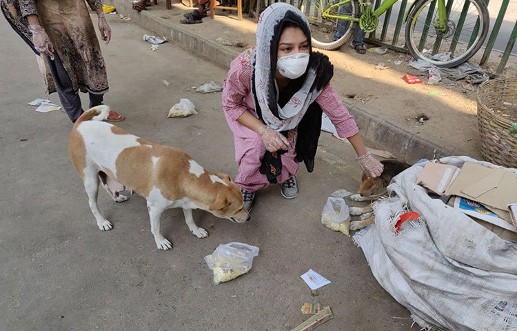 রাস্তার খাদ্য সংকটে পড়া কুকুরকে নিয়মিত খাওয়াচ্ছেন জয়া আহসান।
