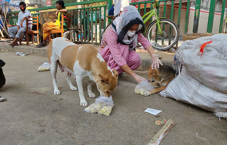 রাস্তায় মানুষ প্রায় নেই বললেই চলে, তাই কুকুরদের খাবার দেয়ারও কেউ নেই।