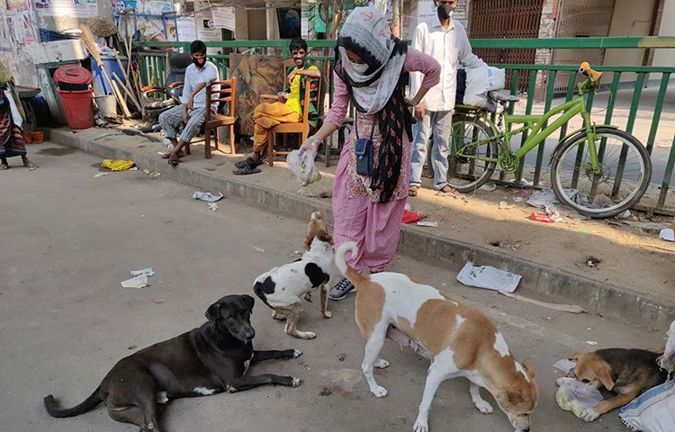 কঠিন এই পরিস্থিতিতে রাস্তার ২৫ থেকে ৩০টি কুকুরের খাবারের দায়িত্ব নিয়েছেন অভিনেত্রী জয়া আহসান।