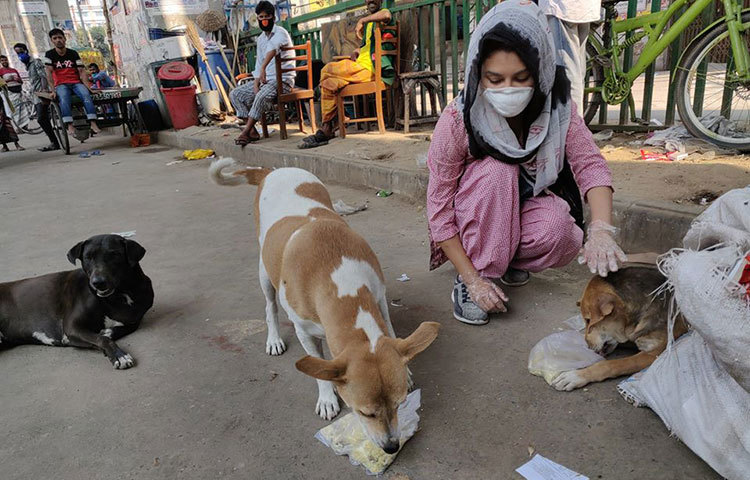 জানা যাচ্ছে, প্রতিদিন ভোর ৫টায় উঠে জয়া নাকি নিজের হাতে ভাত আর মুরগীর মাংসের ঝোল বানিয়ে নিয়ে বেরিয়ে পড়েছেন।