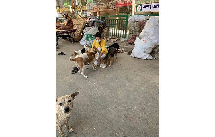 বুভুক্ষ এই কুকুরকে খাওয়াতে পেরে বেশ খুশি অভিনেত্রী।
