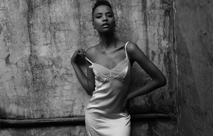 তুজনি আফ্রিকার রাজধানী কেপটাউনের একটি প্রতিষ্ঠানে জনসংযোগ কর্তকর্তা হিসেবেও কাজ করেছেন।