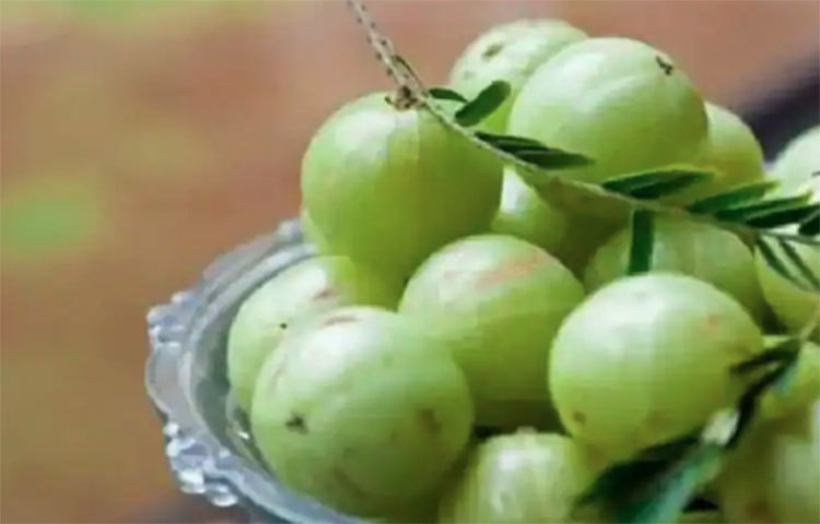 এই জুস ফ্রিজে রেখে এক চামচ করে দিনে তিন থেকে চারবার খান।