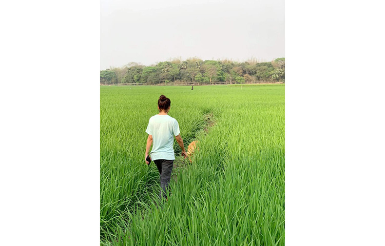 প্রকৃতির সান্নিধ্যের জয়া এ ছবির প্রশংসা করেছেন অনেকে। ছবি: ফেসবুক