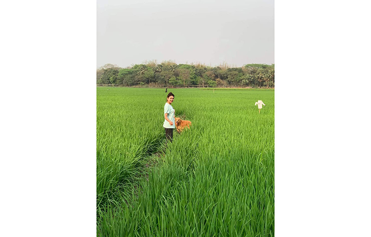 জয়ার এ ছবি দেখে শ্রাবণী ইমরোজ রাইমা নামে একজন মন্তব্য লিখেন ‘খুবই সুন্দর দুর্লভ মনোরম আশ্চর্যকর রহস্যময় রোমাঞ্চকর নিখুঁত অতুলনীয় ঝকঝকে টাটকা একখান ছবি।’ ছবি: ফেসবুক