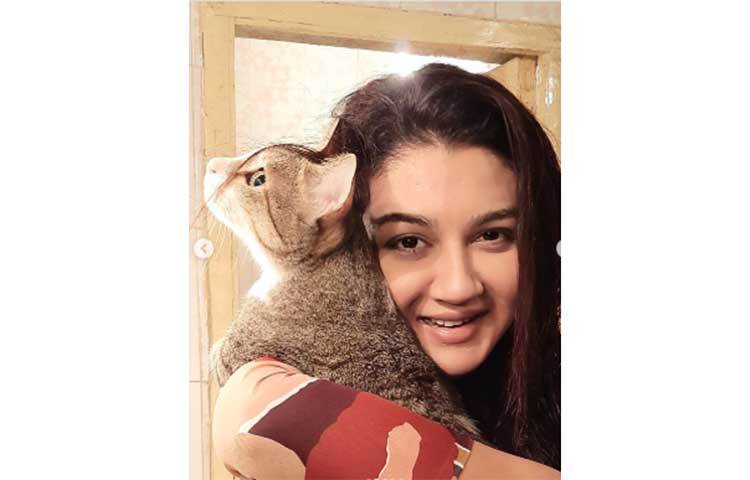 জয়ার অবসরের বন্ধু বিড়াল।