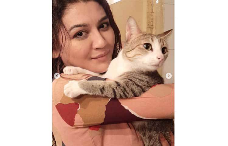 বিড়ালের সাথে ক্যামেরা বন্দি বিড়াল।