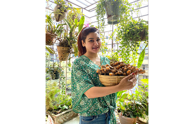 সাজ্জাদ সুমন নামের এই ছবি দেখে মন্তব্য করেছেন ‘আপা হলুদের ফলন ভালো হইছে’। ছবি: ফেসবুক