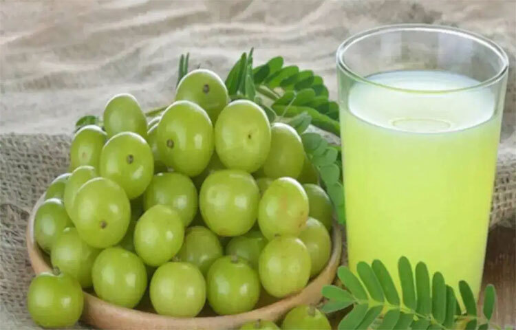 আমলকি বা আমলা মেটাবলিজম বাড়িয়ে তোলে। উন্নত হয় হজমশক্তি। ওজন কমানোর জন্য স্বাস্থ্যকর মেটাবলিজম খুবই দরকার। আমলার রসে একফোঁটা মধু বা একটু চিনি যোগ করলেই তৈরি সুস্বাদু ও স্বাস্থ্যকর পানীয়। ছবি: সংগৃহীত