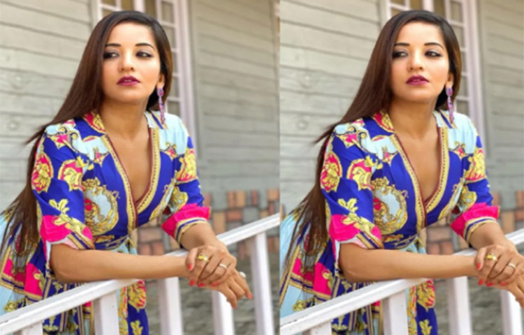 ছবিতে মোনালিসা ডিপনেক গাউন পরে আছেন আবেদনময়ী ভঙ্গিতে। ছবি: সংগৃহীত