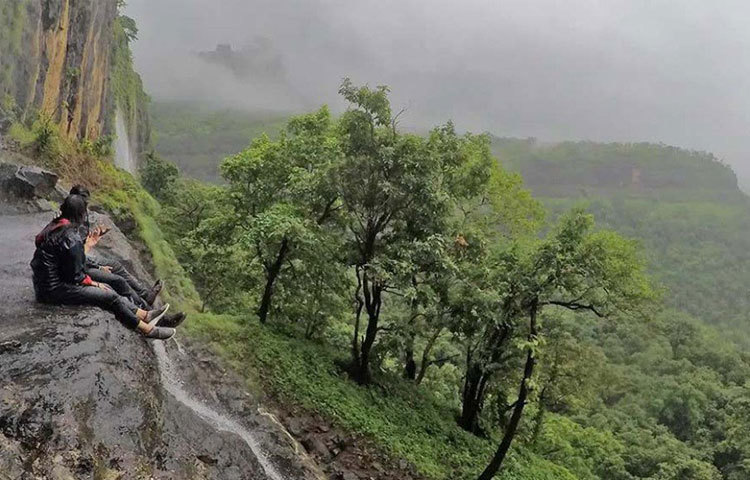 সমুদ্র সৈকত হোক বা অরণ্য অন্ধকারে উজ্জ্বলতার নেপথ্য কারিগর হল ‘বায়োলুমিনিসেন্স’। বায়োলুমিনিসেন্স হল এমন কিছু জীব বা ছত্রাক, যাদের দেহ আলোর উৎস। মিসেনা এবং জোনাকি সেই বায়োলুমিনিসেন্সেরই উদাহরণ। কিছু ছত্রাকও এই গোত্রে পড়ে।