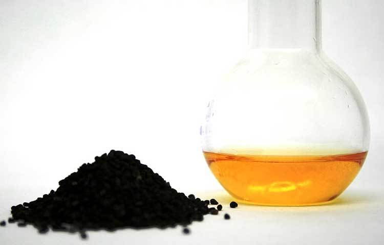 কালোজিরার ফসফরাস রোগ প্রতিরোধে অত্যন্ত কার্যকর। শরীরের যে কোনও জীবাণুর সংক্রমণ ঠেকাতে কালোজিরার ভূমিকা অসামান্য।