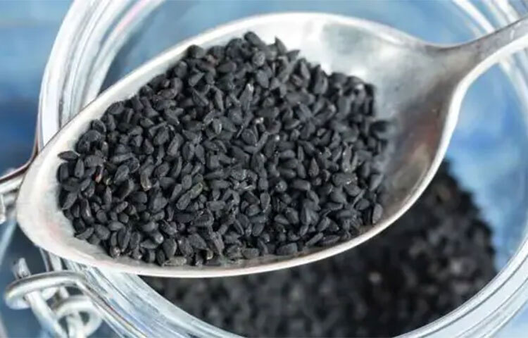 পুরুষের জন্য কালোজিরা খুবই উপকারী উপাদান। এই দুধ খেলে দুর্বলতার সমস্যা দূর হয়। সেই সঙ্গে ফার্টিলিটির হারও অনেকাংশে বাড়িয়ে দেয়। যেসব পুরুষ বন্ধ্যাত্বের সমস্যায় ভুগছেন, তারা যদি নিয়মিত কালোজিরা দুধ পান করেন, তাহলে উপকার পাবেন। কারণ এই পানীয় অ্যান্টিঅক্সিডেন্ট সমৃদ্ধ এবং এটা যৌন স্বাস্থ্যের জন্যও অত্যন্ত উপকারী। ছবি: সংগৃহীত