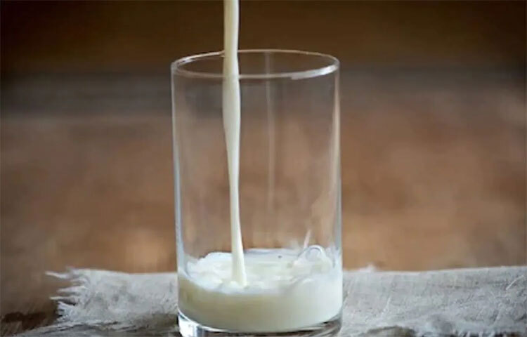 কালোজিরা দেহের কার্যক্ষমতা বাড়াতেও সাহায্য করে। কারণ কালোজিরা এবং দুধ যখন একসঙ্গে মেশানো হয়, তখন এর পুষ্টিগুণ অনেকাংশেই বেড়ে যায়। আর এই দুই উপাদানে থাকা ক্যালোরি দেহে এনার্জির চাহিদাও পূরণ করে। তাছাড়া কালোজিরা আয়রন সমৃদ্ধ। ফলে তা স্বাস্থ্যের জন্য আশীর্বাদ। ছবি: সংগৃহীত