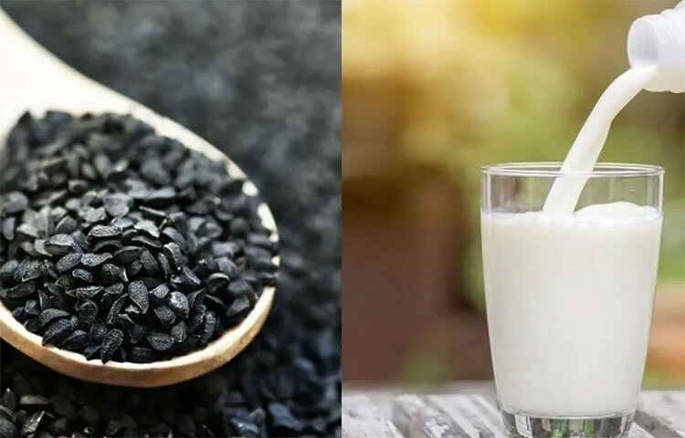 দেহের রোগ প্রতিরোধ ক্ষমতা বা ইমিউনিটি বাড়াতে অত্যন্ত উপযোগী এই কালোজিরা-দুধ। আসলে কালোজিরার মধ্যে এমন সব অ্যান্টি-অক্সিডেন্ট রয়েছে, যা মৌসুমি রোগের হাত থেকে শরীরকে রক্ষা করে। অ্যান্টি-অক্সিডেন্টের পাশাপাশি এর মধ্যে রয়েছে জিঙ্ক। যা ইমিউন সেল কোষগুলকে শক্তিশালী করে তোলে। শুধু তা-ই নয়, ব্যাকটেরিয়া এবং ভাইরাসঘটিত রোগের মোকাবিলা করার জন্যও দেহকে প্রস্তুত করে এই পানীয়। তাই বিশেষজ্ঞরা বলেন, ঠান্ডা লাগলে অথবা সর্দি হলে কালোজিরা ও দুধ পান করতে হবে। ছবি: সংগৃহীত
