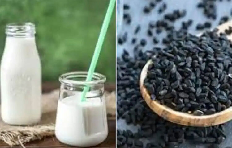 এগুলো ছাড়াও কালোজিরা-দুধের অসংখ্য উপকারিতা রয়েছে। এই পানীয় দেহের ব্যাড কোলেস্টেরল বা খারাপ কোলেস্টেরলের মাত্রা কমিয়ে দিতে সাহায্য করে। এ ছাড়া এর মধ্যে উপস্থিত অ্যান্টি-ব্যাকটেরিয়াল উপাদান ব্যাকটেরিয়া ঘটিত সংক্রমণ রোধ করে। ত্বকের সংক্রমণ কমাতেও এর জুড়ি মেলা ভার। ফলে বোঝাই যাচ্ছে, চোখ, ত্বক এবং চুলের জন্য খুবই উপকারী কালোজিরা। ছবি: সংগৃহীত