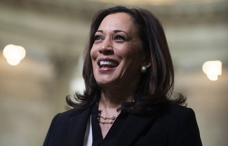 যুক্তরাষ্ট্রের হাওয়ার্ড বিশ্ববিদ্যালয়ে রাষ্ট্রবিজ্ঞান ও অর্থনীতি পড়ার পর কমলা হেস্টিং কলেজ থেকে আইনে ডিগ্রি নেন।