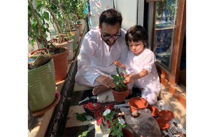 লকডাউনে ছেলে তৈমুরের সঙ্গে গাছ লাগাচ্ছেন সাইফ।