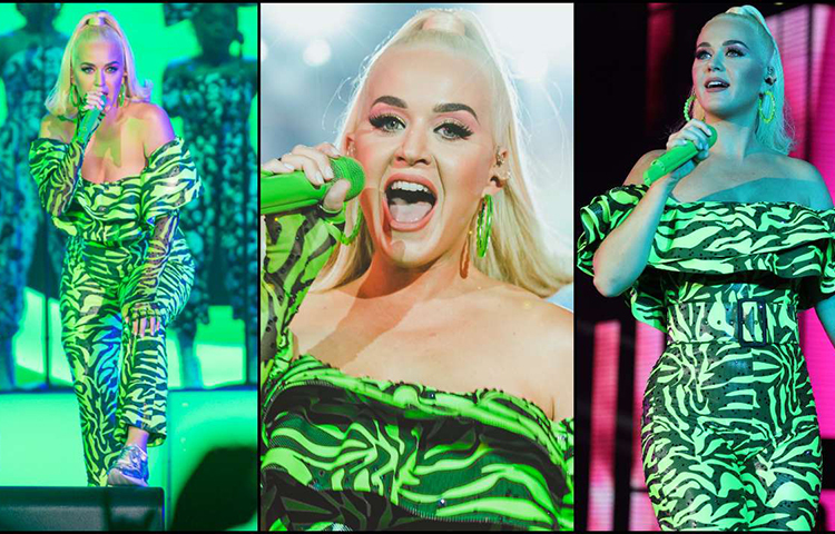 শনিবার সন্ধ্যায় ওয়ান প্লাস মিউজিক ফেস্টিভ্যাল পপ মার্কিন গায়িকা কেটি পেরি ও ব্রিটিশ গায়িকা ডু লিপা।