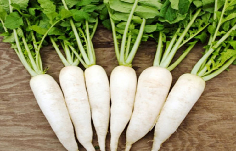 আপনার পরিবারে যদি কিডনি স্টোনের ইতিহাস থেকে থাকে, তাহলে অক্সালেট যুক্ত খাবার এড়িয়ে চলুন। যেমন, মূলা শাকে প্রচুর পরিমাণে অক্সালেট রয়েছে। তাই এগুলো খাওয়া যাবে না।