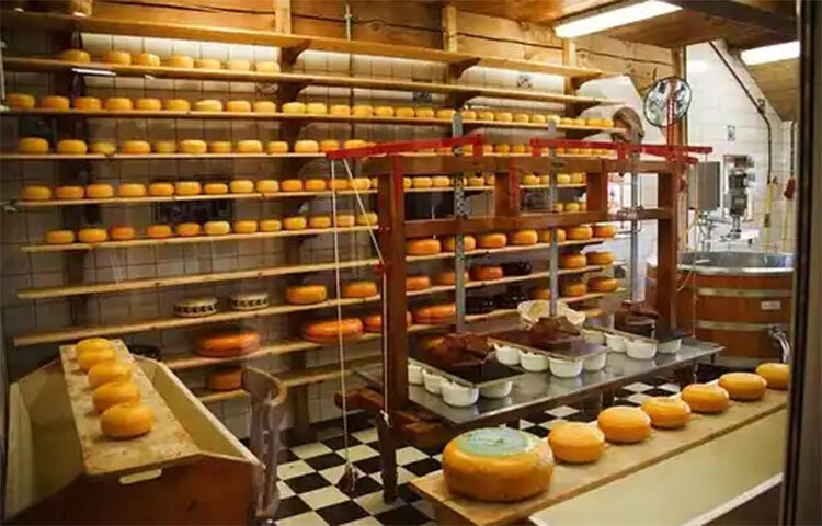 যতটা সম্ভব ব্যথা কমানোর ওষুধ বা পেইনকিলার কম খেতে হবে। অতিরিক্ত ব্যথা কমানোর ওষুধ কিডনির সমস্যা হতে পারে বলে মত বিশেষজ্ঞদের। চিকিৎসকের পরামর্শ মেনেই ওষুধ খাওয়া উচিত। ছবি: সংগৃহীত