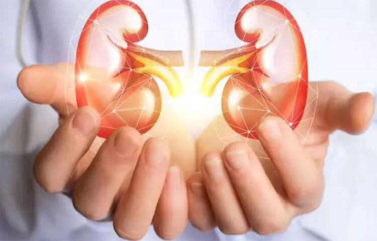 তবে অনেকেরই জানা নেই ধূমপানের মাধ্যমে শরীরে প্রোটিনের মাত্রা বেড়ে যায়, এর ফলে কিডনির সমস্যা দেখা দেয়। ছবি: সংগৃহীত