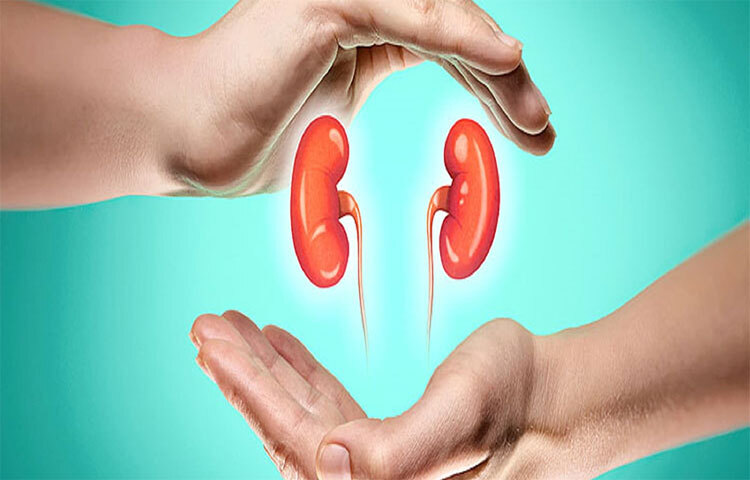 অতিরিক্ত মদ্যপান করলে কিডনির সমস্যা শুরু হয়। তাই দ্রæত মদ পানের অভ্যাস ত্যাগ করতে হবে। ছবি: সংগৃহীত