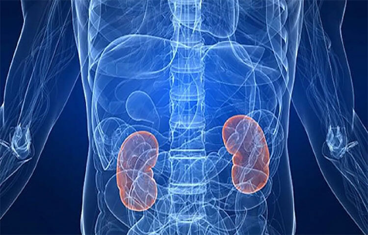 বেশি পরিমাণে মিষ্টি খাবার-দাবার খেলে ওজন বাড়ে, ফলে ব্লাড প্রেশার বা ডায়াবেটিসের মতো রোগ শরীরে বাসা বাঁধে। তাই মিষ্টিজাত খাবার খাওয়া থেকে দূরে থাকুন। ছবি: সংগৃহীত