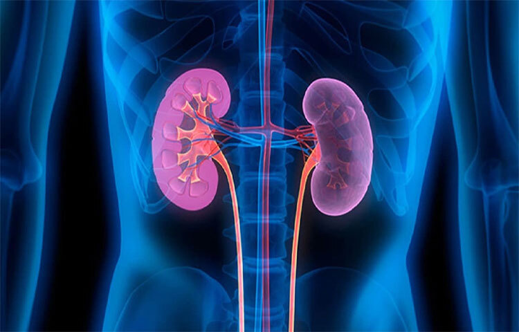 ধূমপানের অভ্যাব থাকলে আজই ত্যাগ করুন। যেকোনো রোগের মূল কারণ হিসেবে ধূমপানকেই মনে করা হয়। ধূমপানের মাধ্যমে ক্যান্সারের ঝুঁকি থেকেই যায়। ছবি: সংগৃহীত