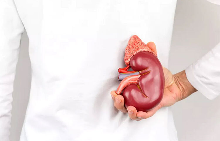 বেশি পরিমাণে লবণ খেলে অর্থাৎ সোডিয়ামযুক্ত খাবার খেলে বেড়েছে যায় উচ্চ রক্তচাপ। এতে কিডনি সম্পর্কিত সমস্যার ফলে বিপদ ঘটতে পারে। এর ফলে লবণ জাতীয় খাবার বেশি না খাওয়াই ভালো। ছবি: সংগৃহীত