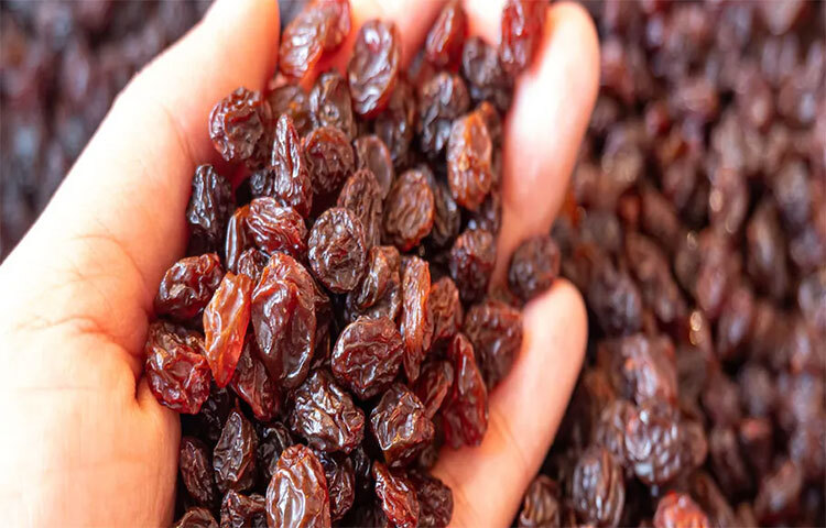 কিশমিশে ক্যালোরির মাত্রা কম থাকে। কিসমিসে থাকা প্রাকৃতিক শর্করা ও লেপটিন দীর্ঘক্ষণ পেট ভরাট রাখে। লেপটিন ফ্যাট ঝরাতেও সাহায্য করে। চিনির বদলে কিসমিস খেতে পারেন। ছবি: সংগৃহীত