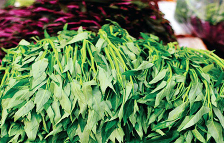 পেঁপেতে প্রচুর পেপেন এনজাইম আছে, যা মানুষের পাকস্থলীতে আমিষ হজমে সাহায্য করে। আরও আছে পটাশিয়াম, সোডিয়াম, ভিটামিন সি।