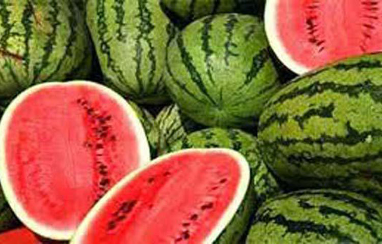 শাক: যেকোনো ধরনের ও রঙের শাক।