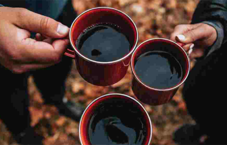 থাইল্যান্ডের চিয়াং সায়েন এলাকায় গোল্ডেন ট্রায়াঙ্গল এলিফ্যান্ট ফাইন্ডেশন-এ যে হাতিরা আশ্রয় পায়, মূলত সেখান থেকেই তাদের মল সংগ্রহের প্রক্রিয়া চলে। ছবি: সংগৃহীত