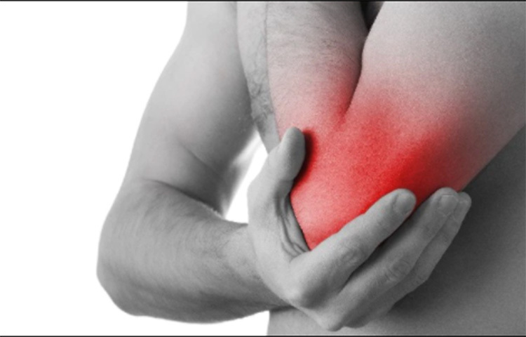 জানা গিয়েছে, কনুইয়ের যেখানে ঠোকা লাগলে এই চিনচিনে ব্যাথা হয়, সেই স্থানের নাম ‘ফানি বোন’। তবে এটি কোনো হাড় নয় বরং একটি স্নায়ু। এটি হাতের প্রধান তিনটে স্নায়ুর একটি। এটি হাতের শুরু থেকে শেষ পর্যন্ত বিস্তৃৃত। এই স্নায়ুর মাধ্যমে আমাদের আঙুলের ডগার অনুভূতি মস্তিষ্কে পৌঁছায়। ‘ফানি বোন’-এর বৈজ্ঞানিক নাম আলনার নার্ভ। এটার অবস্থান ত্বকের কাছাকাছি। ছবি: সংগৃহীত