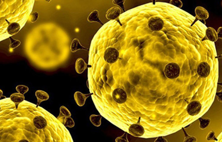 যে করোনা বিশ্বকে কাঁপিয়ে দিচ্ছে, সেটা একটা ভাইরাস। আর এই ভাইরাসের ত্রাসে কাঁপছে আবার অন্য এক করোনা!