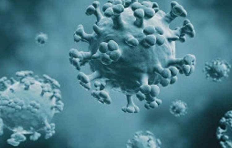 ট্র্যাকিয়াল অ্যাসপিরেট: একইভাবে শ্বাসনালী থেকেও অনেক সময় নমুনা সংগ্রহ করা হয়।