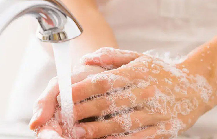 তাই গবেষকেরা জানাচ্ছেন, কাঠের কোনো বস্তুতে হাত দিলে, তারপরই যেন কোনোভাবেই হাত মুখে বা নাকে না যায় এবং ভাল করে ২০ সেকেন্ড ধরে সাবান দিয়ে হাত ধুয়ে ফেলা জরুরি।