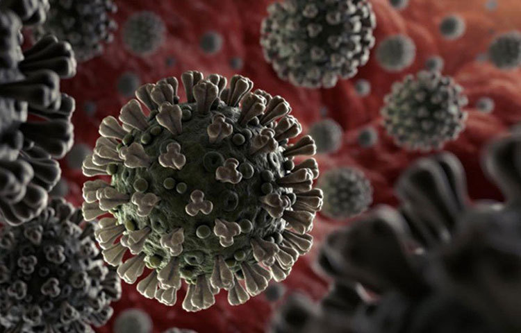 কোনো আক্রান্ত ব্যক্তির হাঁচি-কাশির মাধ্যমে যদি করোনাভাইরাসের জীবাণু ড্রপলেটের মাধ্যমে কোনো স্টিলের উপরে পড়ে, তাহলে ৪৮ ঘণ্টা পরও তা থেকে সংক্রমণ ছড়াতে পারে